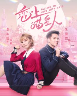 绕行路线公布！即日起，内江这些路段将实行交通管制